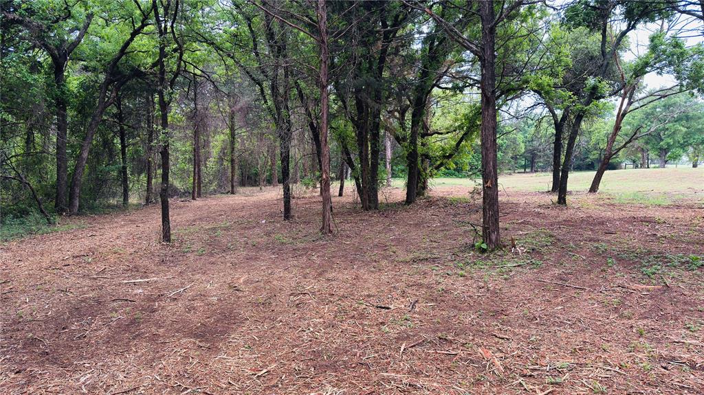 5928 Crest Drive Property Photo 12