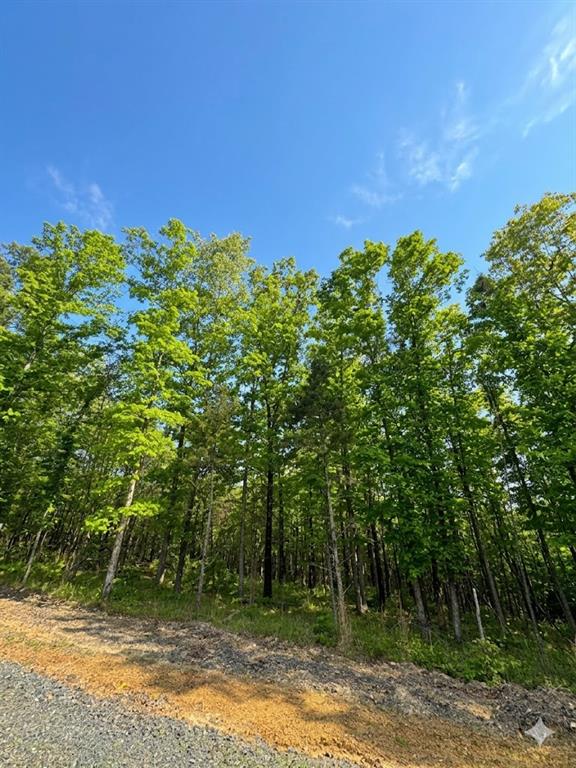 4 Vista Ridge Trail Property Photo 6