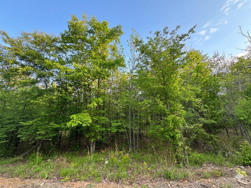 9 Vista Ridge Trail Property Photo 5