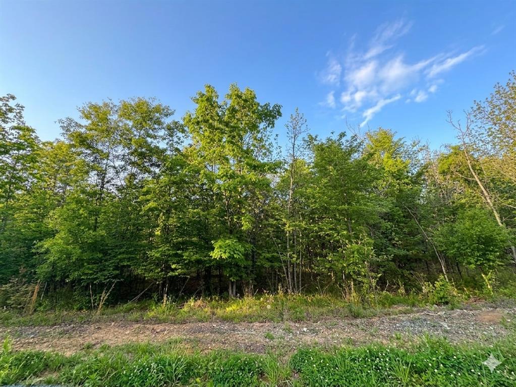 9 Vista Ridge Trail Property Photo 6