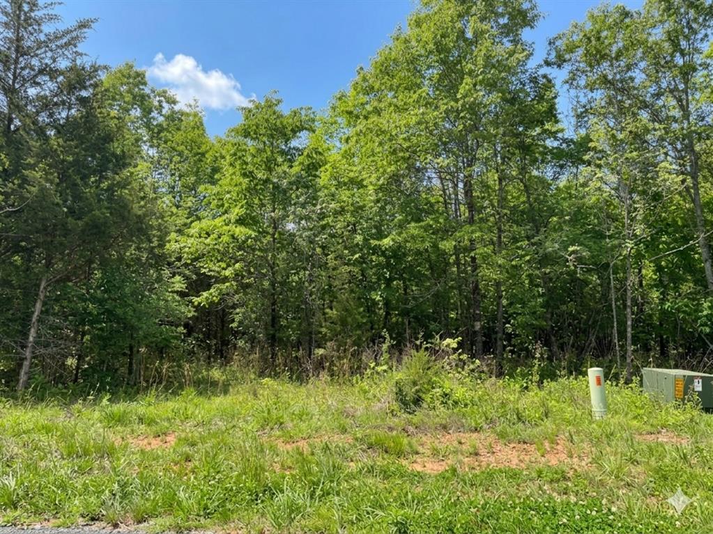 10 Vista Ridge Trail Property Photo 6