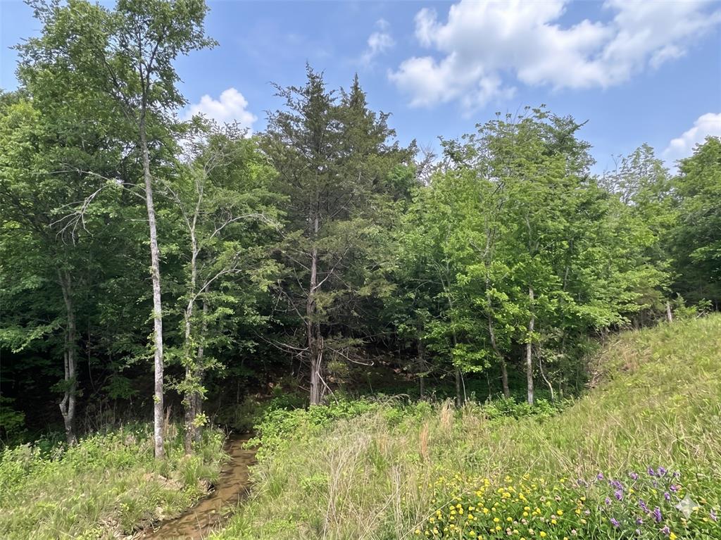 13 Vista Ridge Trail Property Photo 6
