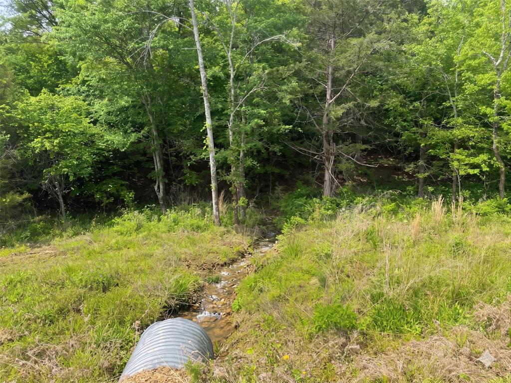 13 Vista Ridge Trail Property Photo 7