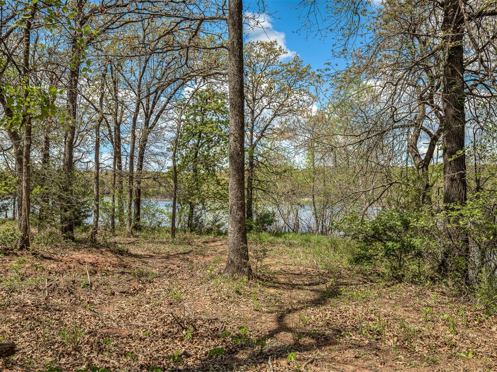 22955 N Hiwassee Road Property Photo 41