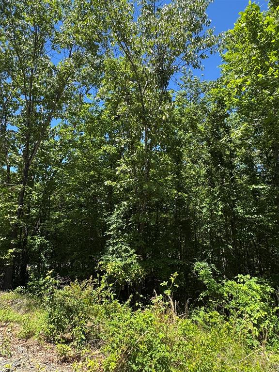 19 Vista Ridge Trail Property Photo 6