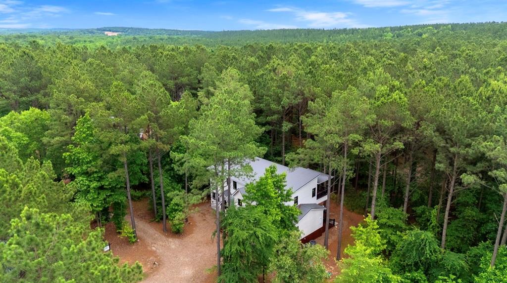 268 Conifer Crossing Trail Property Photo 5
