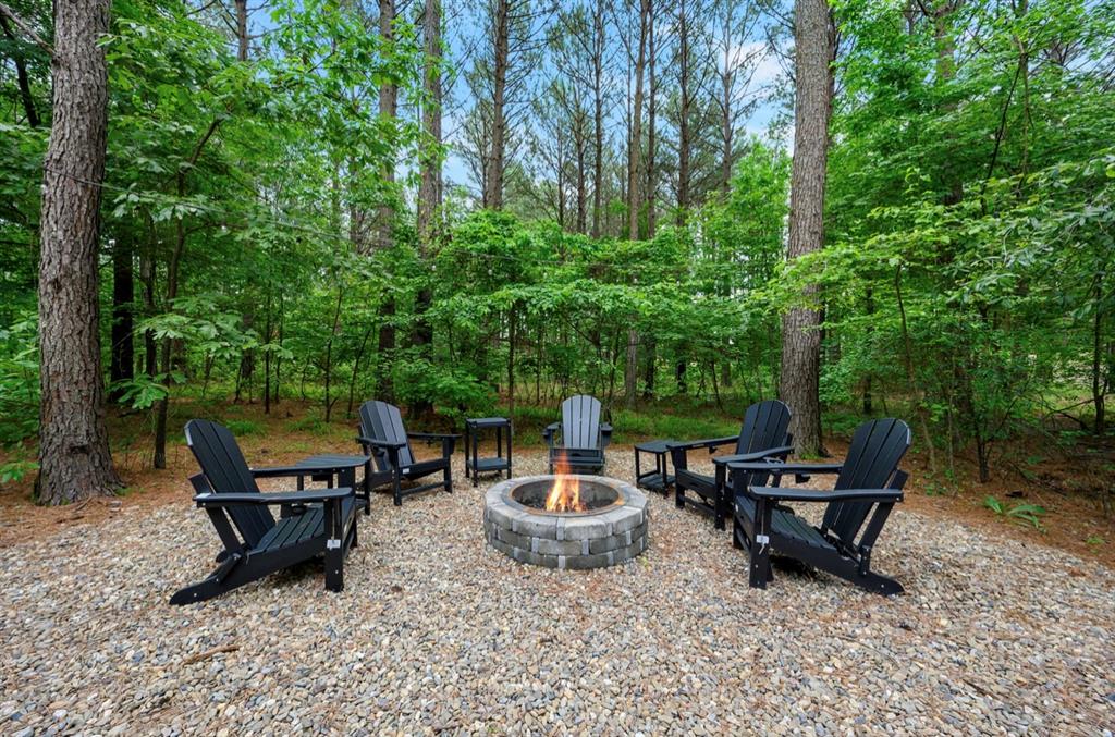 268 Conifer Crossing Trail Property Photo 43