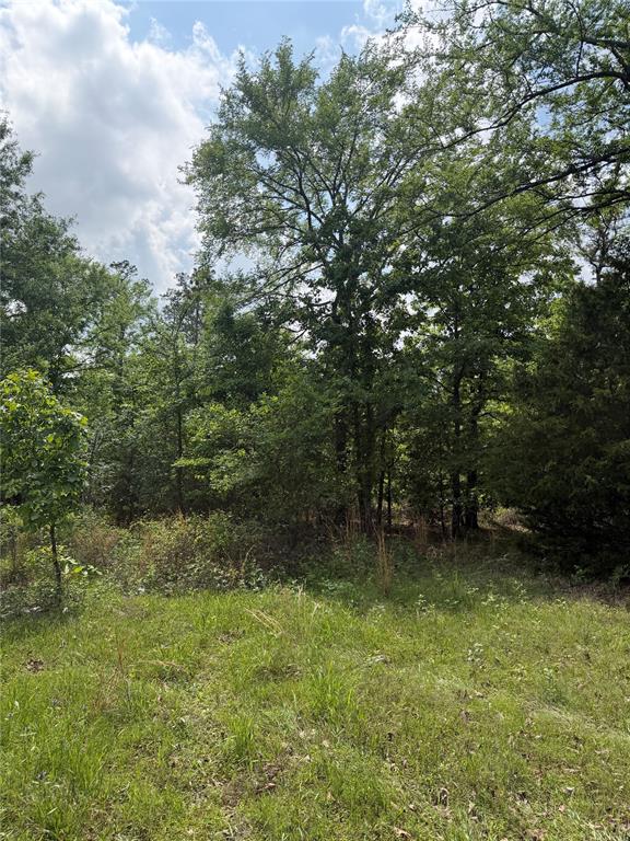 Bullard Lane Property Photo 2