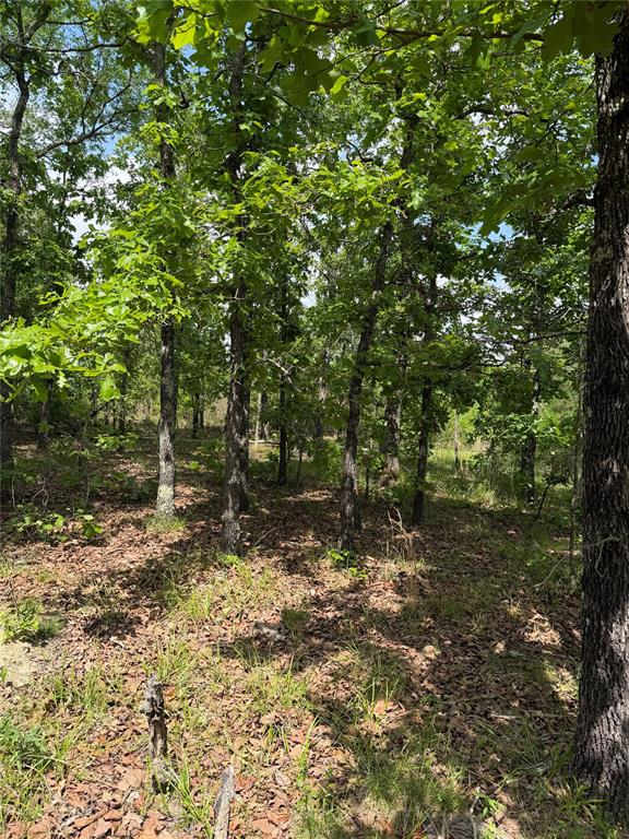 Bullard Lane Property Photo 5