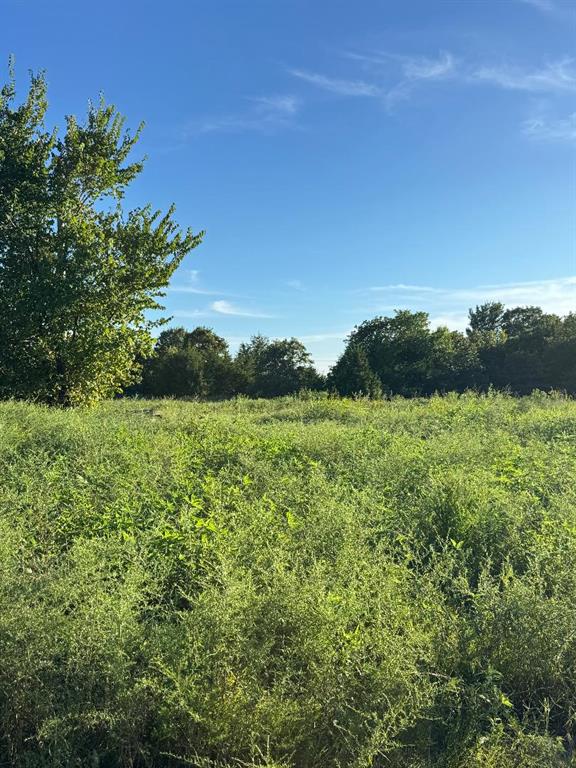 32109 W Highway 66 Property Photo 21