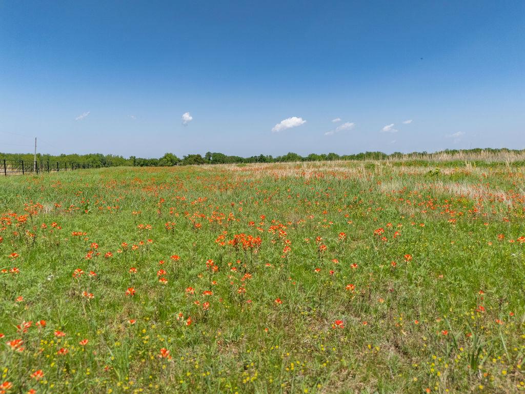 00 N Kickapoo Street Property Photo 18