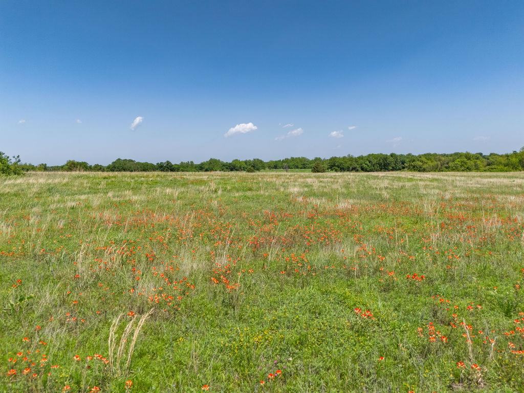 00 N Kickapoo Street Property Photo 19