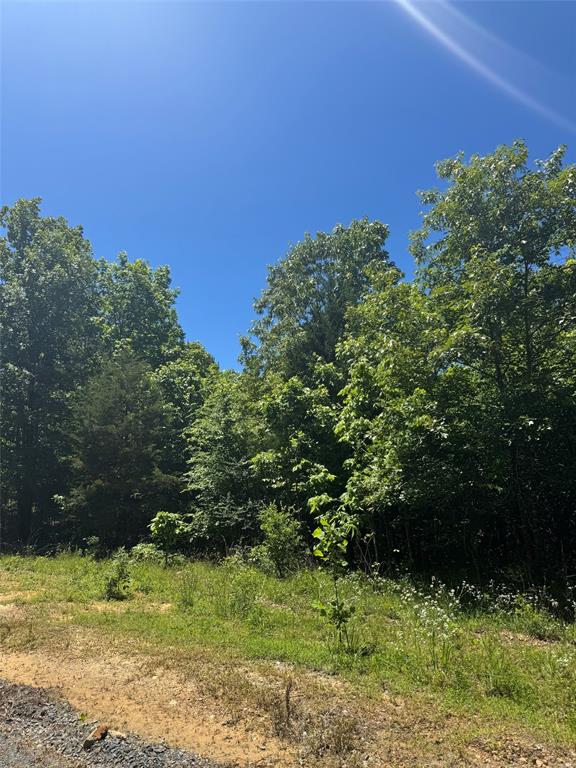 25 Vista Ridge Trail Property Photo 5