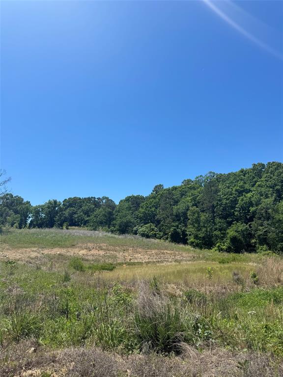 25 Vista Ridge Trail Property Photo 6