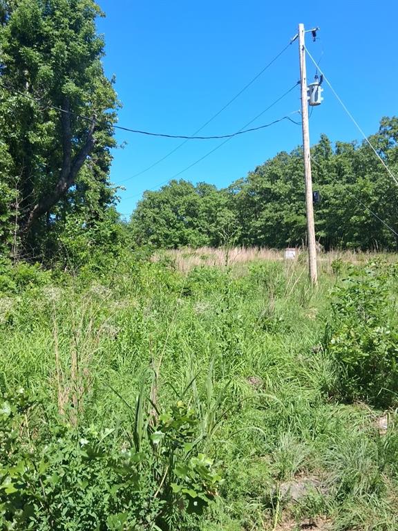 Lafeyette Place Property Photo 5