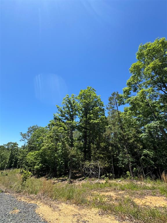 37 Mountain Bluff Trail Property Photo 5