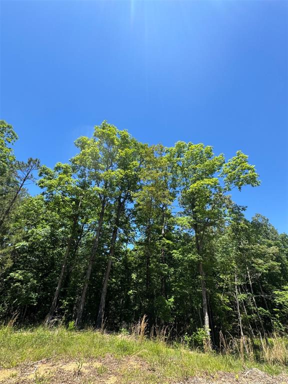 37 Mountain Bluff Trail Property Photo 6