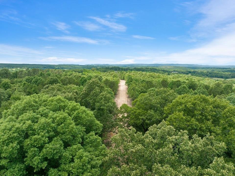 37 Mountain Bluff Trail Property Photo 7