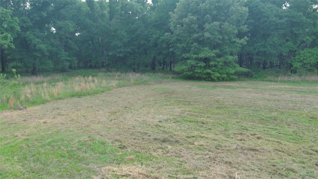 Savage Road Property Photo 7