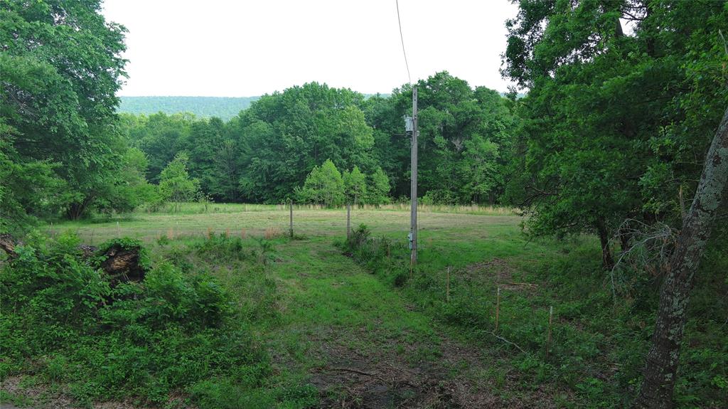 Savage Road Property Photo 8
