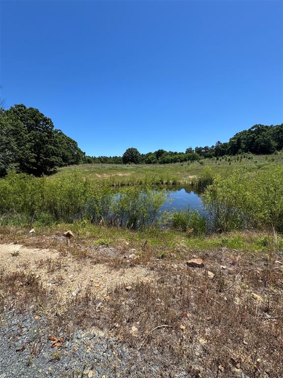 41 Mountain Bluff Trail Property Photo 7