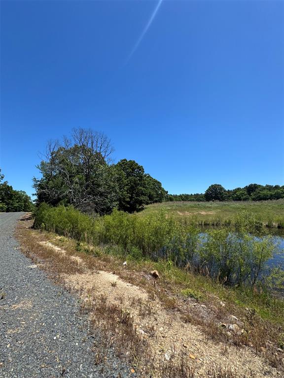 41 Mountain Bluff Trail Property Photo 8