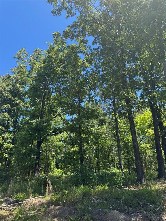 50 Vista Ridge Trail Property Photo 5