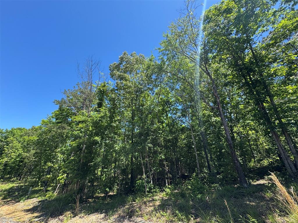 51 Vista Ridge Trail Property Photo 6