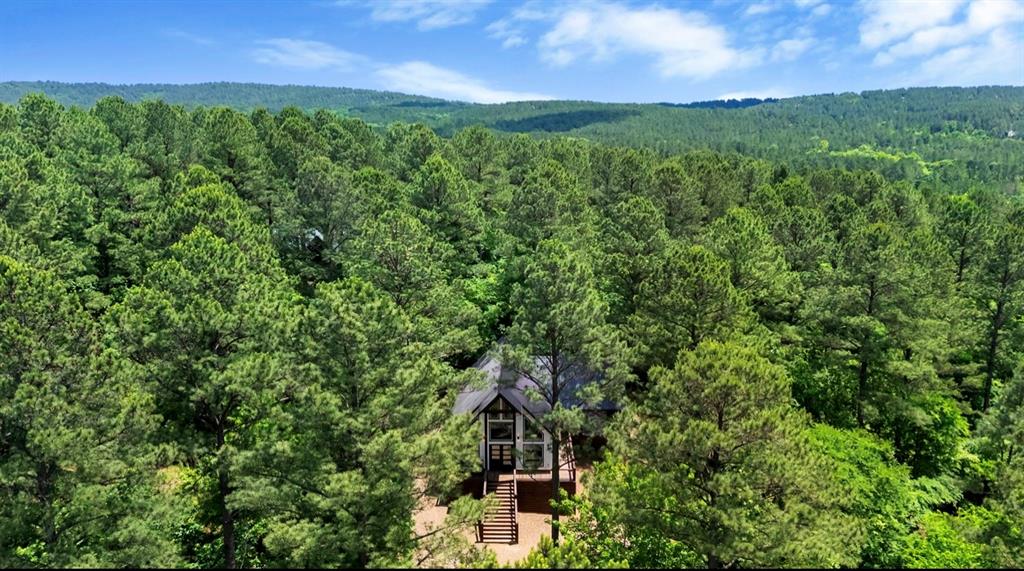 422 Eagle Mountain Trail Property Photo 4