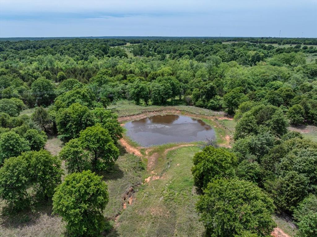 920699 Deer Ridge Trail Property Photo 44
