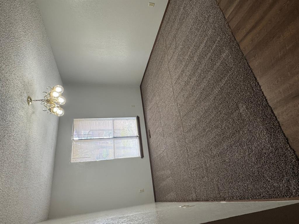 10501 Cecilia Drive Property Photo 5