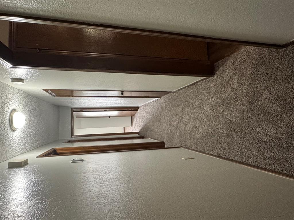 10501 Cecilia Drive Property Photo 16