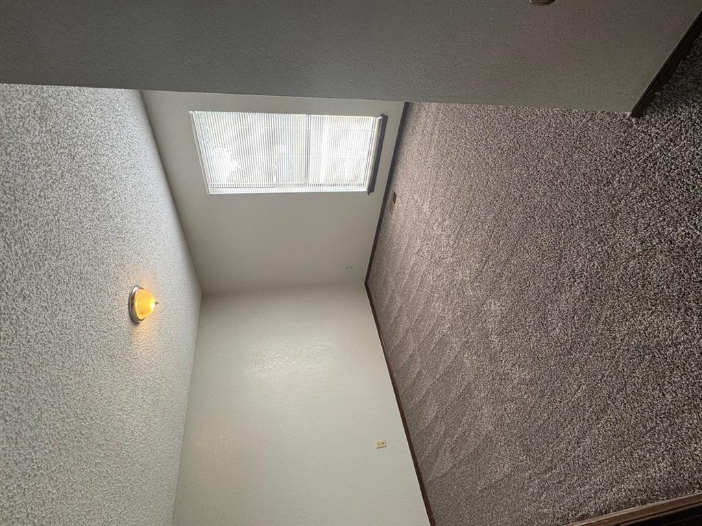 10501 Cecilia Drive Property Photo 20