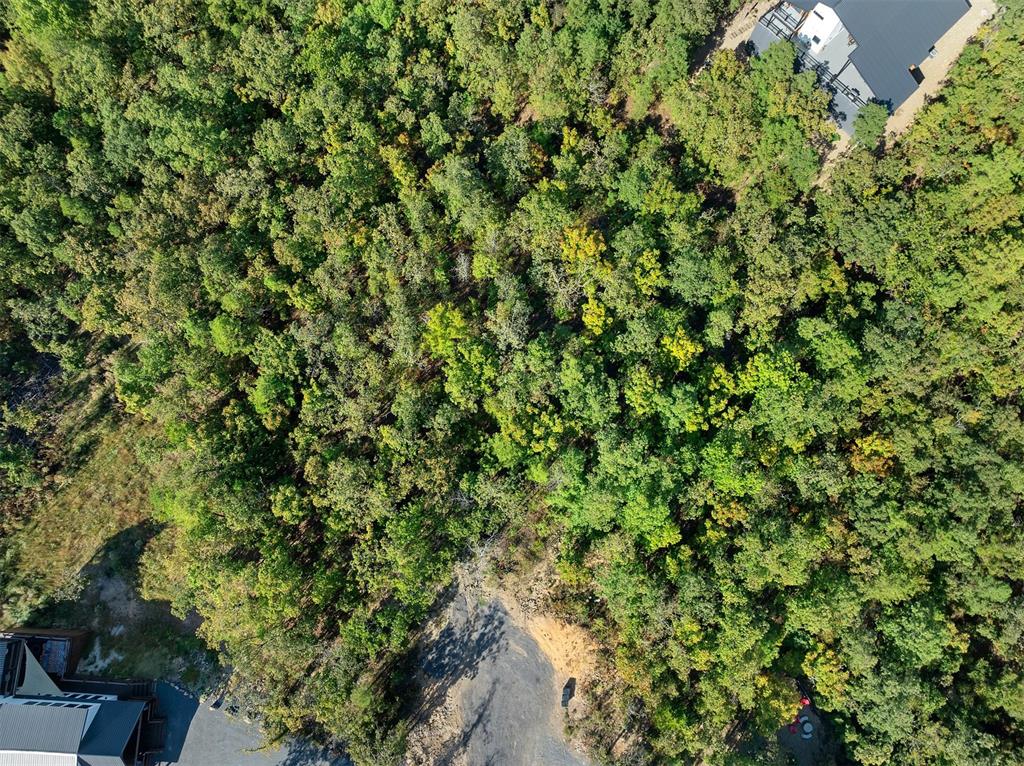 153 Conifer Crest Trail Property Photo 4