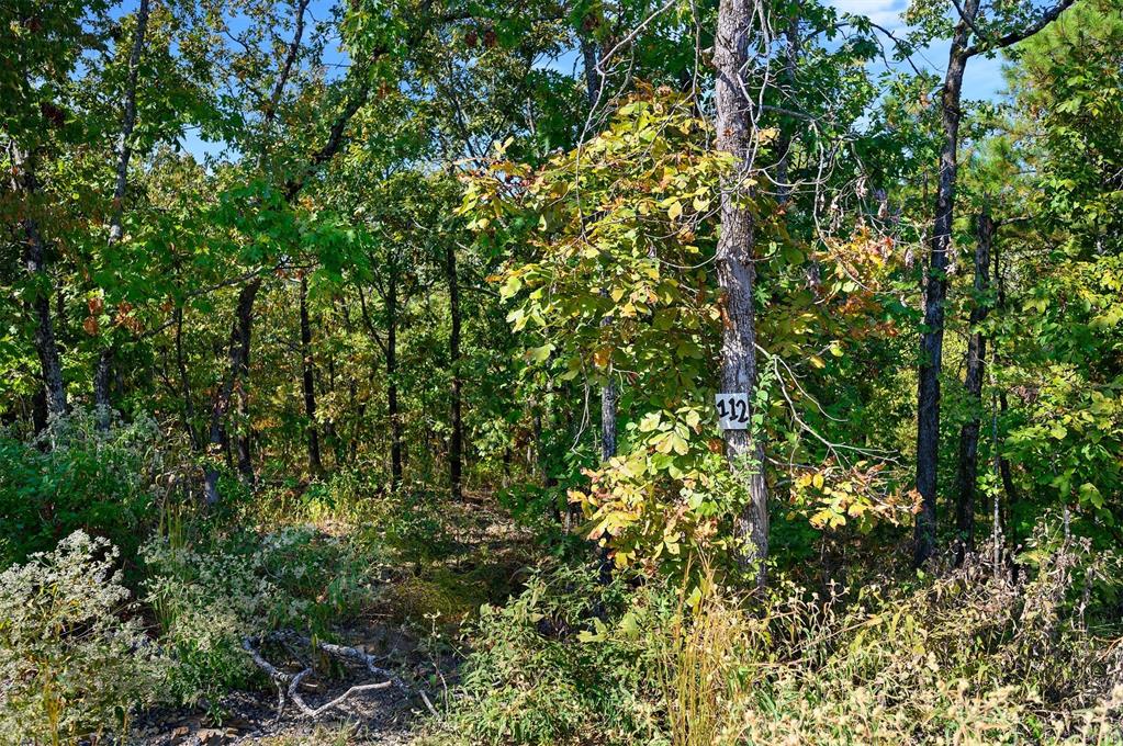 153 Conifer Crest Trail Property Photo 6