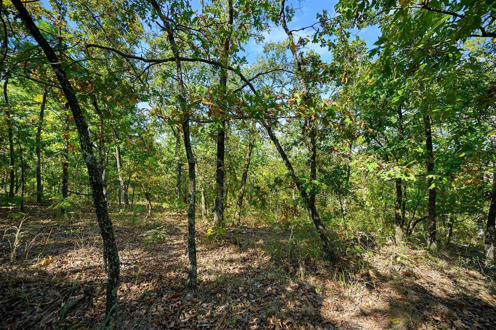 153 Conifer Crest Trail Property Photo 7