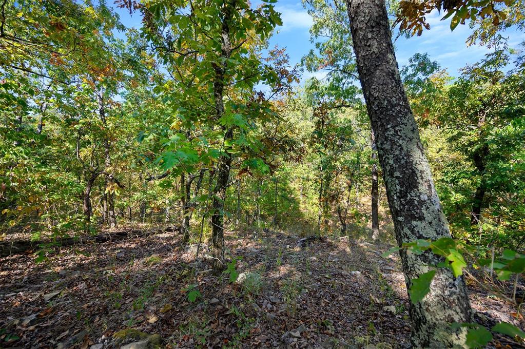 153 Conifer Crest Trail Property Photo 8