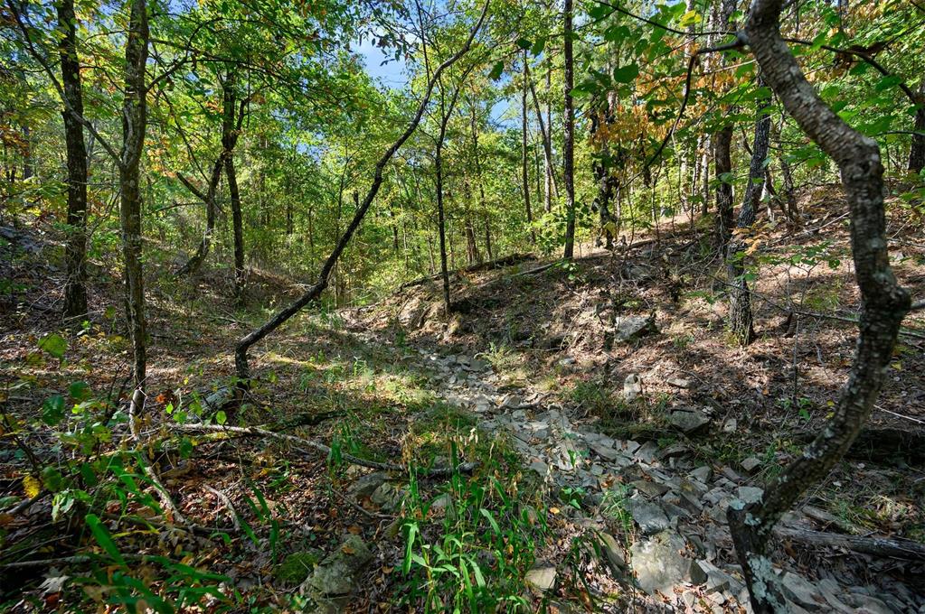 153 Conifer Crest Trail Property Photo 9
