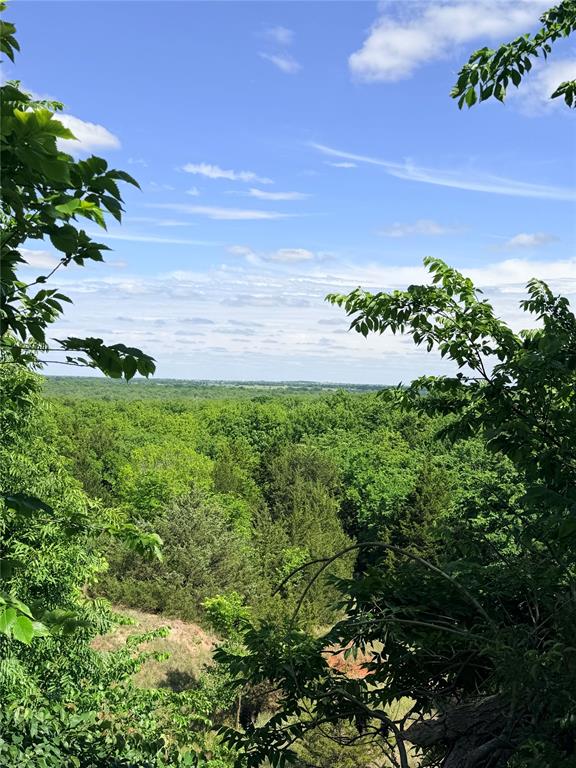 Eagles Nest Property Photo 2