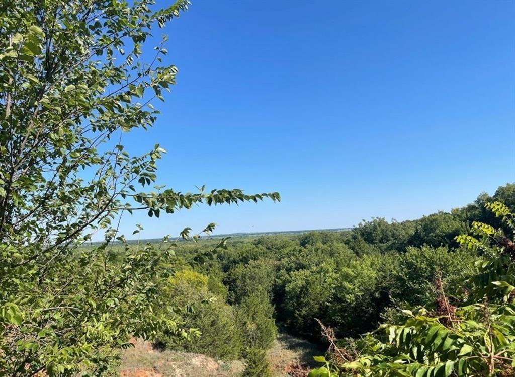 Eagles Nest Property Photo 3