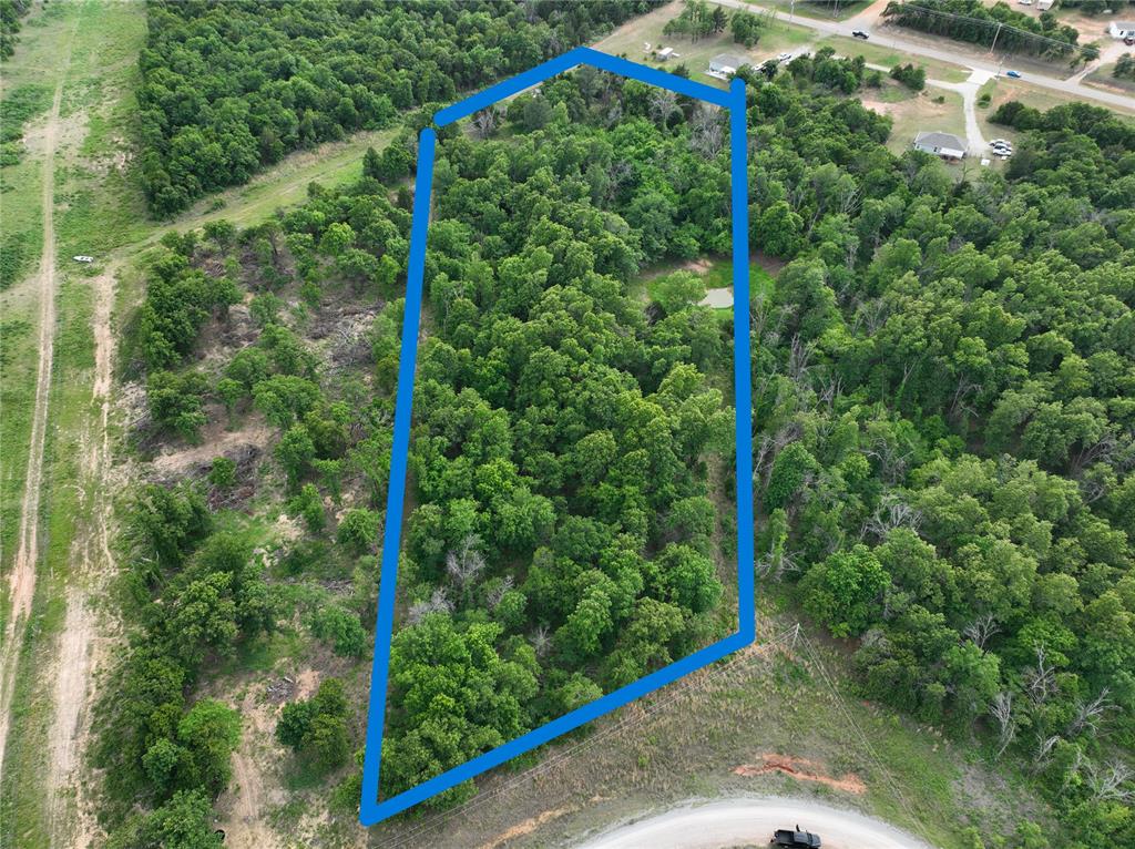 Green Moss Trail Property Photo 1