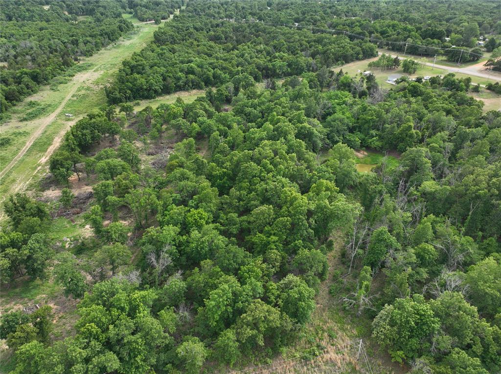 Green Moss Trail Property Photo 2