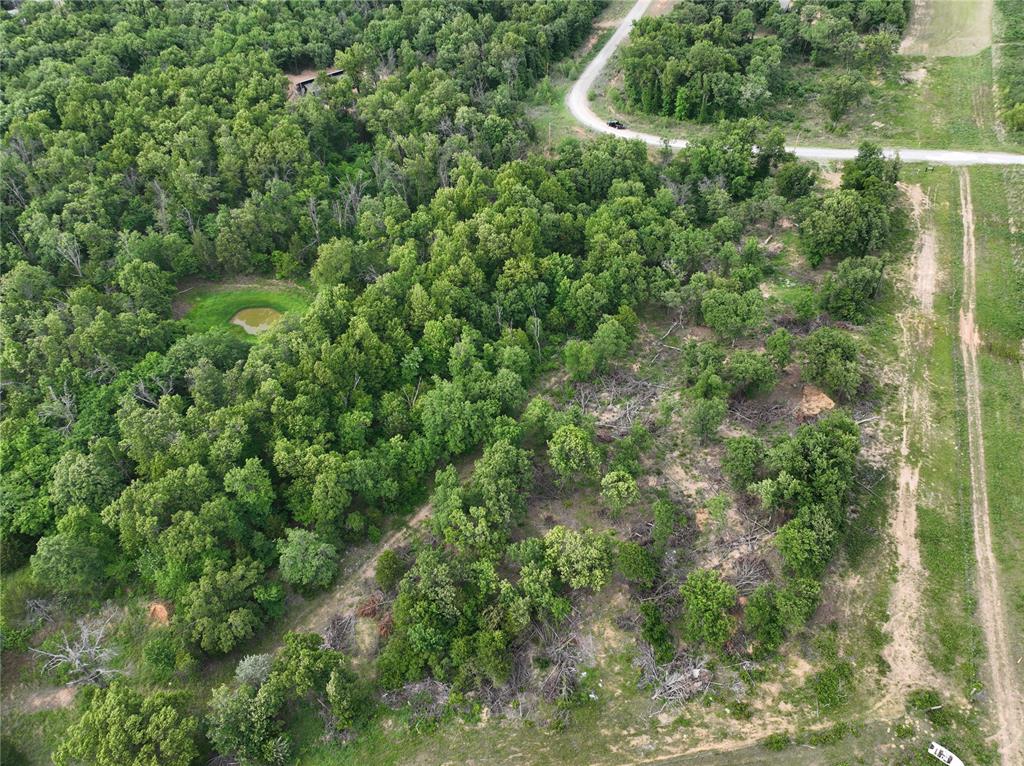Green Moss Trail Property Photo 3