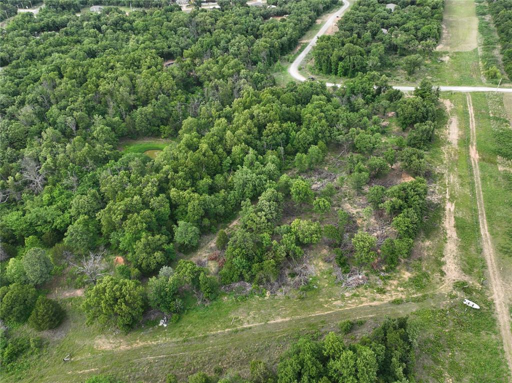 Green Moss Trail Property Photo 6