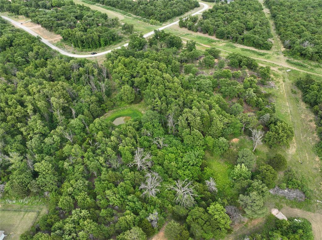 Green Moss Trail Property Photo 7