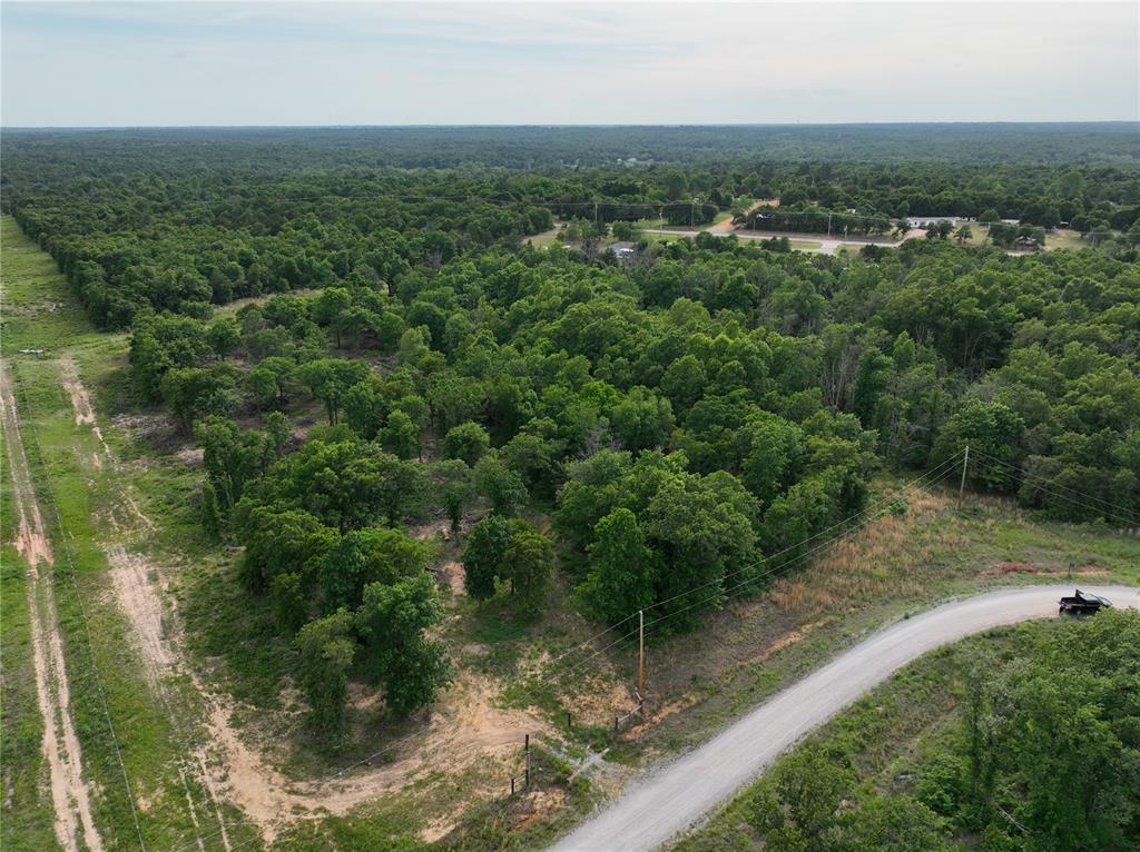 Green Moss Trail Property Photo 8