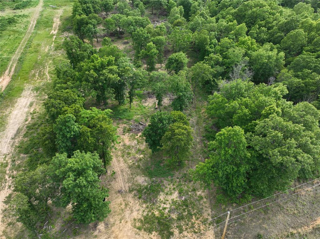 Green Moss Trail Property Photo 9