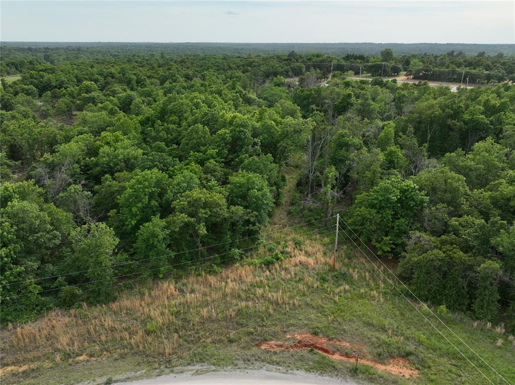 Green Moss Trail Property Photo 10