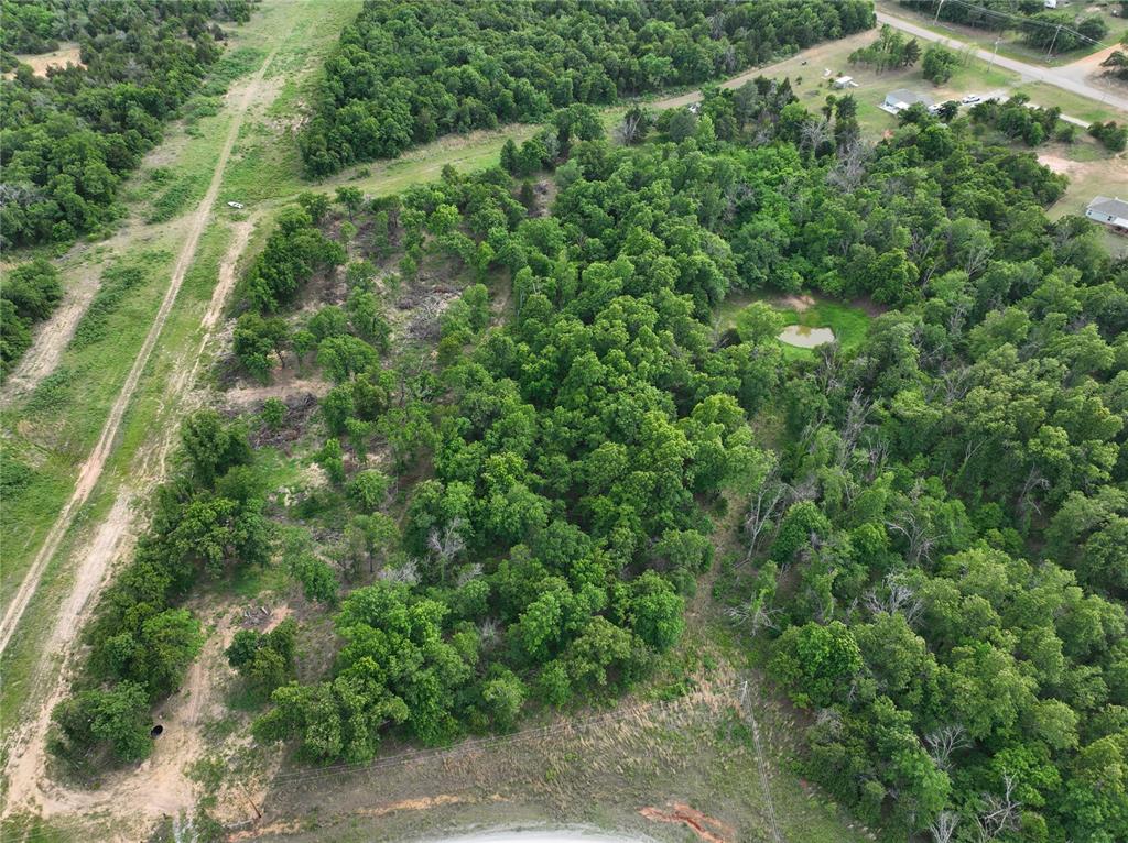 Green Moss Trail Property Photo 11