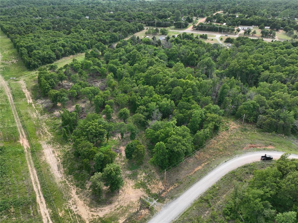 Green Moss Trail Property Photo 13